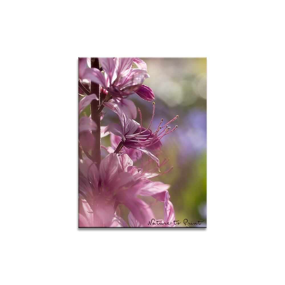 Biblische Blüte  | Blumenbild auf Leinwand, Kunstdruck, Acrylglas, Alu, Kissen