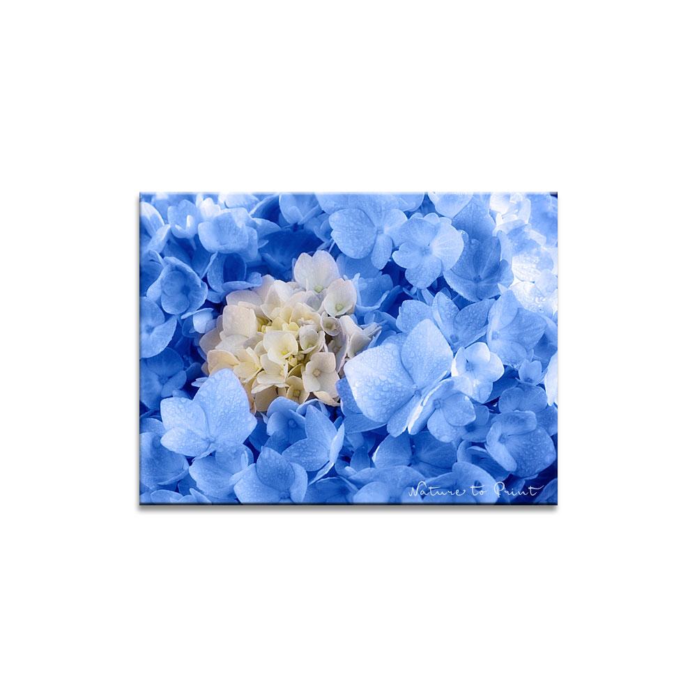 Blau umrankt Blumenbild auf Leinwand, Kunstdruck, Acrylglas, Alu, Kissen