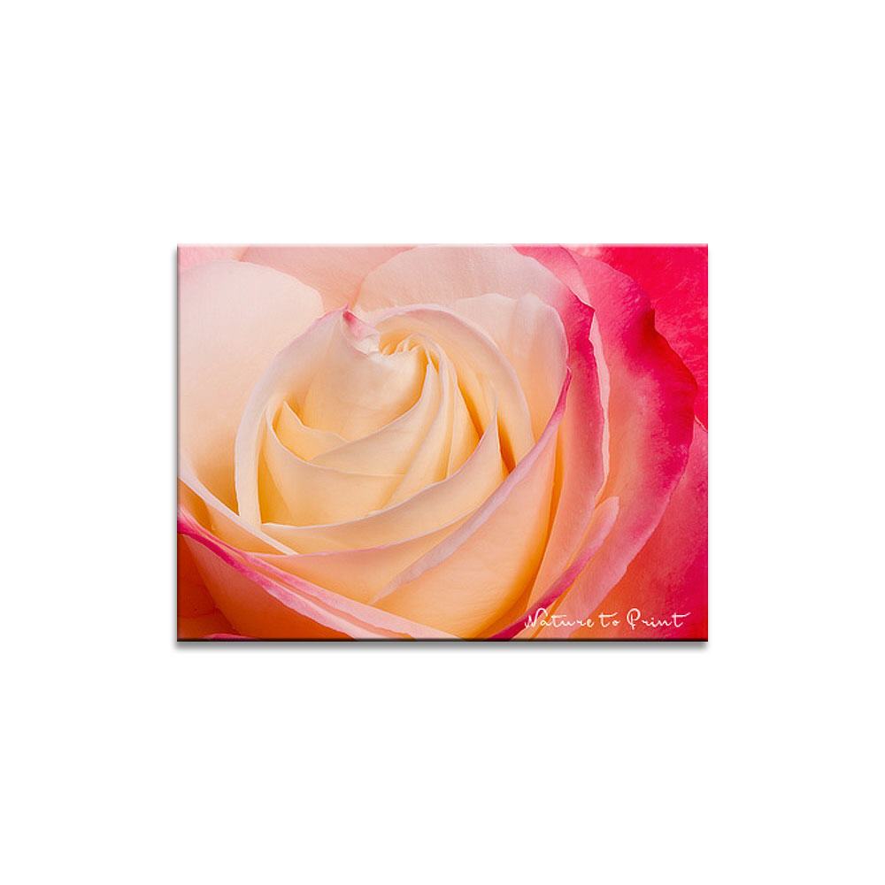 Blumenbild auf Leinwand, Kunstdruck oder FineArt