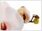 Bild f&uuml;r Suchausgabe der Seite Orchideenbild: Fast schon da