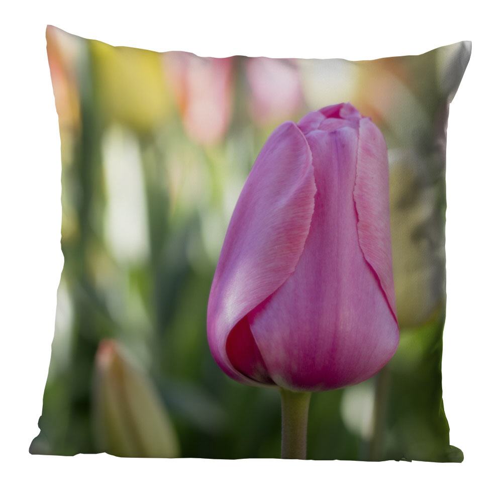 Tulpe in Pastell  | Kissen, inkl. Reißverschluss und Inlett, waschbar bei 30C