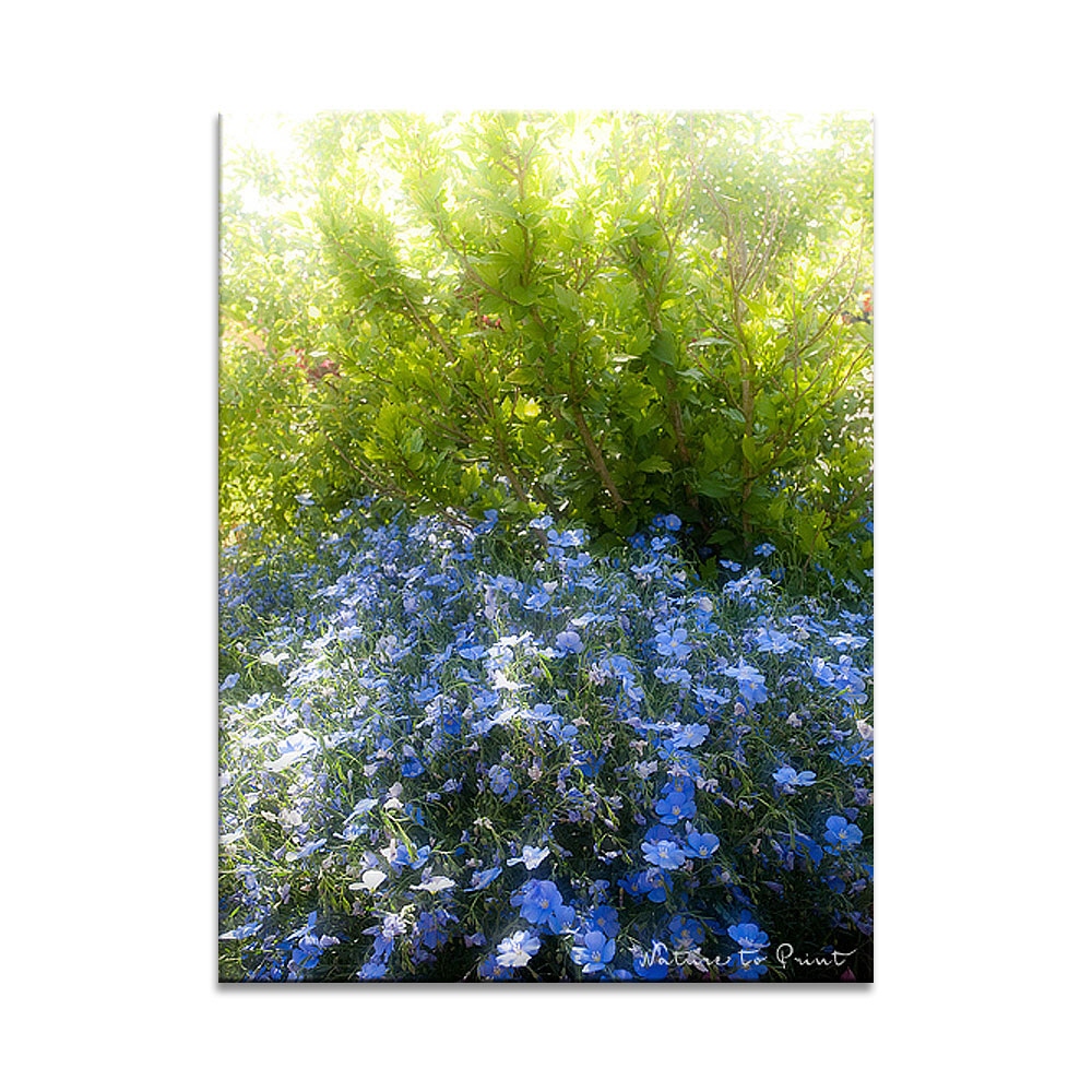 Blauer Weg ins Gartenparadies