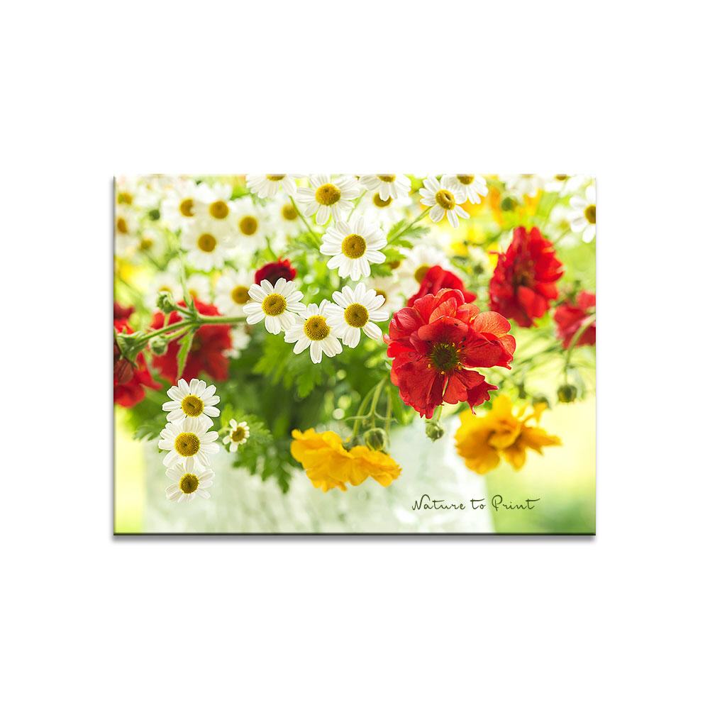 Mehr Spaß mit bunten Sommerblumen Blumenbild auf Leinwand, Kunstdruck oder FineArt