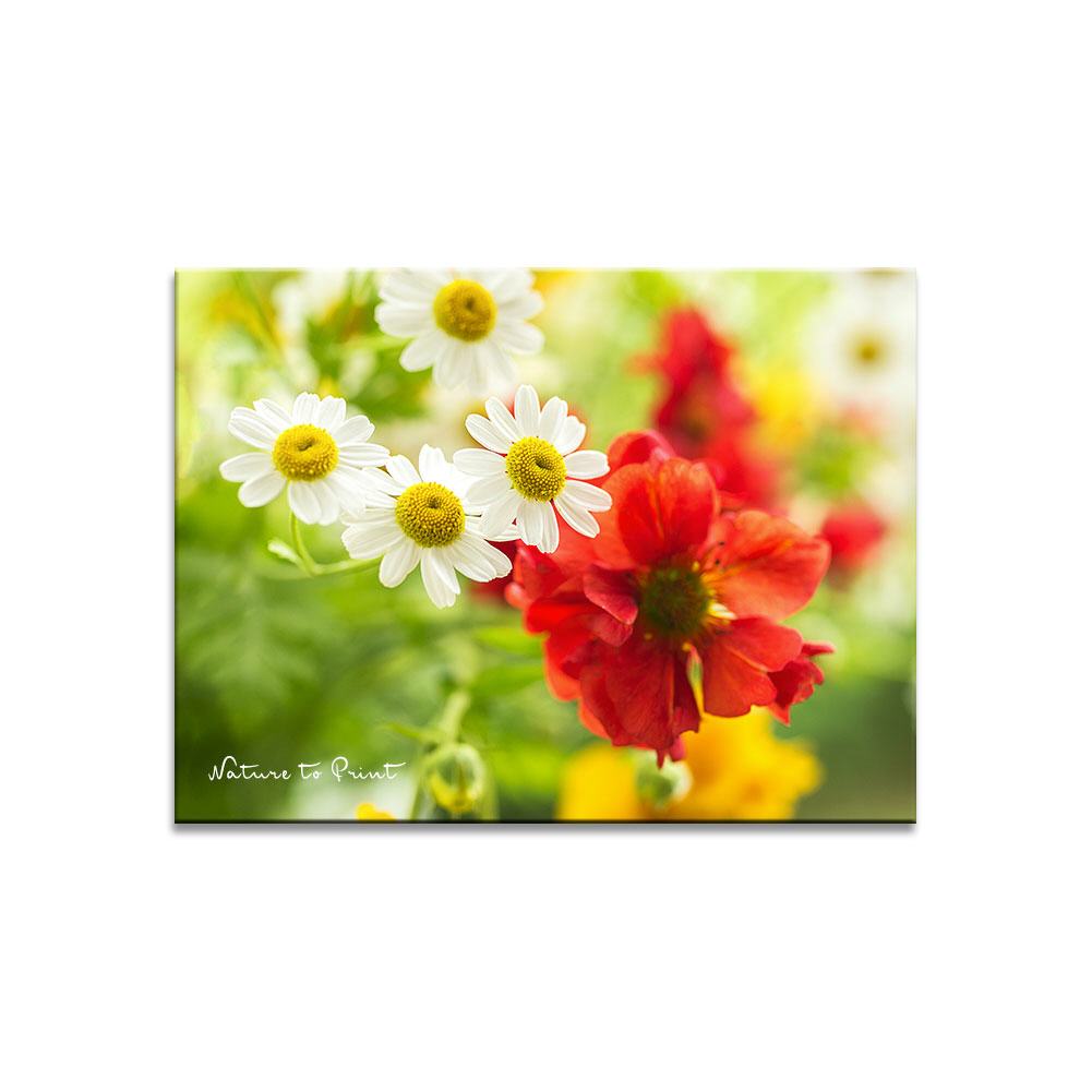 Spaß mit fröhlicih bunten Sommerblumen Blumenbild auf Leinwand, Kunstdruck oder FineArt