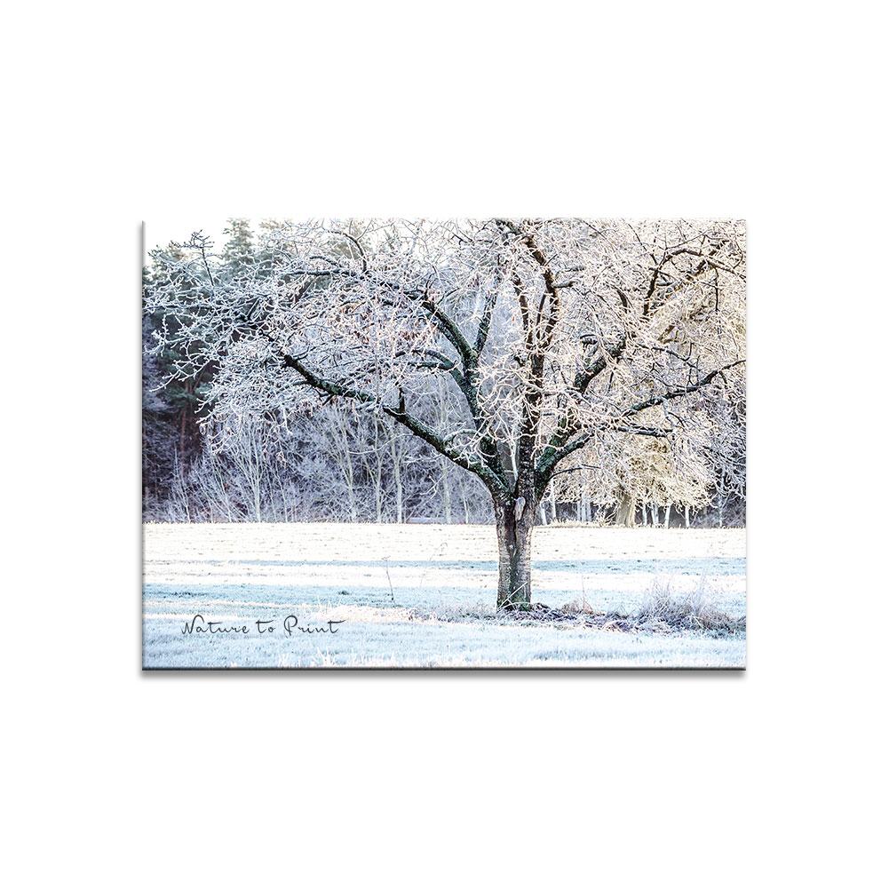Kristallbaum | Landschaftbild auf Leinwand, Kunstdruck, FineArt, Acrylglas, Alu-Dibond, Fototapete