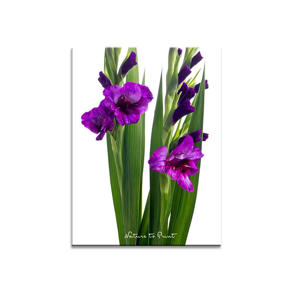 Elegante Gladiolen  Blumenbild auf Leinwand, Kunstdruck, Acrylglas, Alu, Kissen