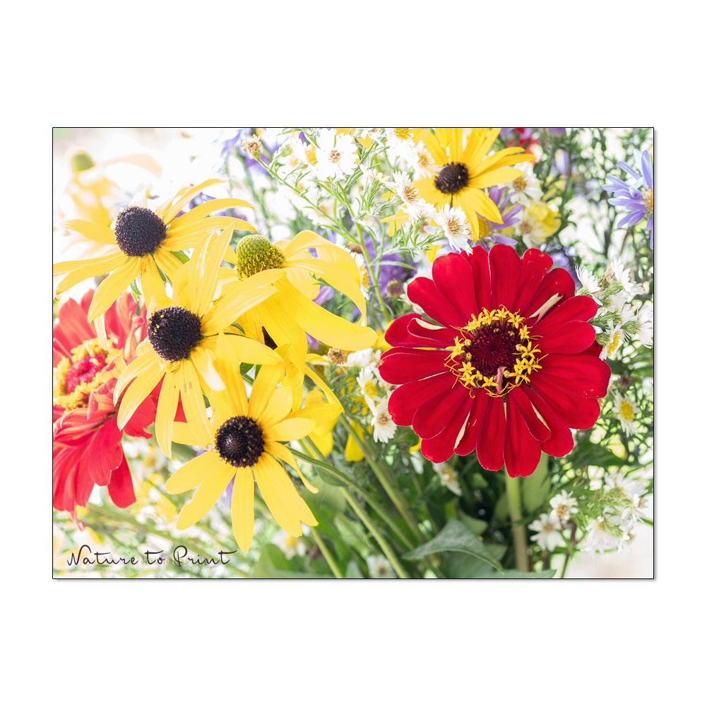 Sommerblumen  Blumenbild auf Leinwand, Kunstdruck,Acrylglas, Alu, Kissen