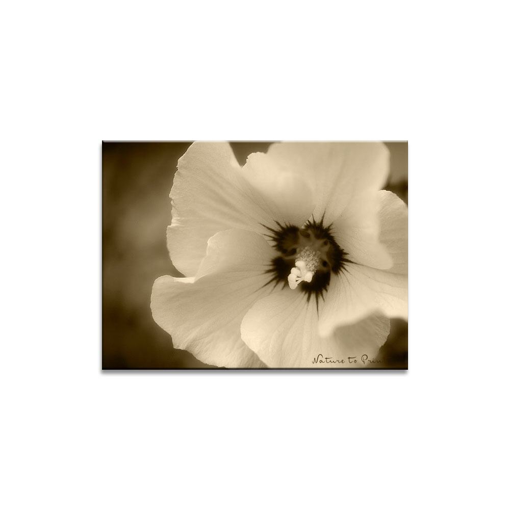Retro-Blumenbild Duftiger Rock eines Hibiskus
