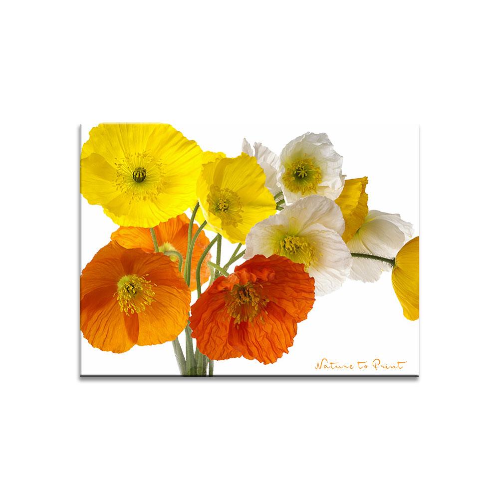 Swinging Poppys Blumenbild auf Leinwand, Kunstdruck oder FineArt