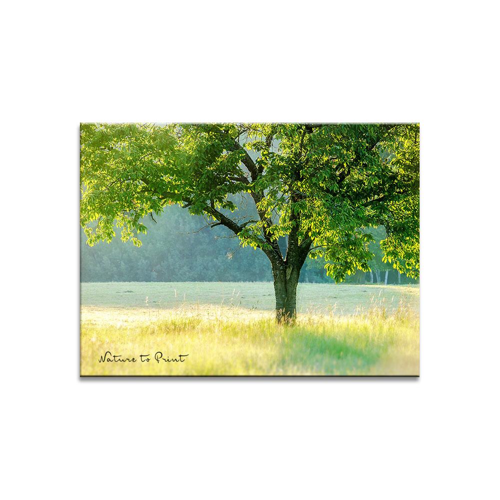 Kirschbaum mit Glitzer | Landschaftbild auf Leinwand, Kunstdruck, FineArt, Acrylglas, Alu-Dibond, Fototapete