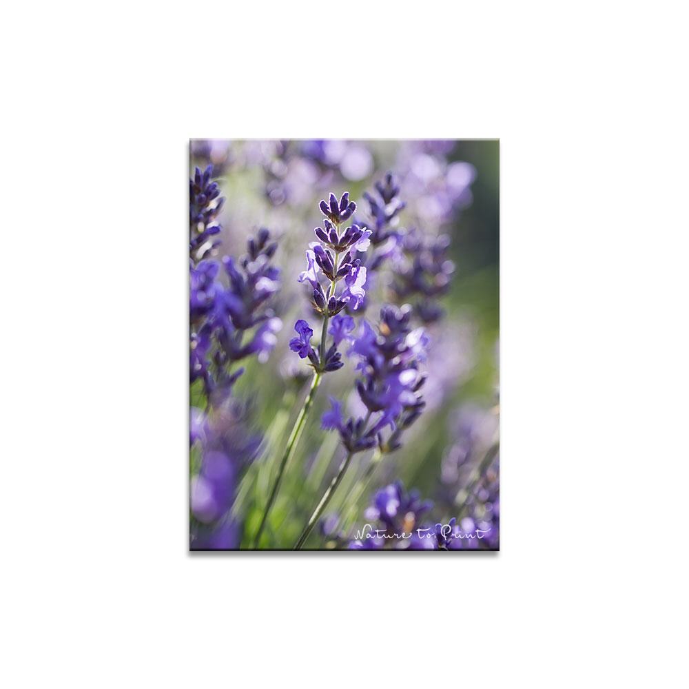 Lavendelblau Blumenbild auf Leinwand, Kunstdruck oder FineArt