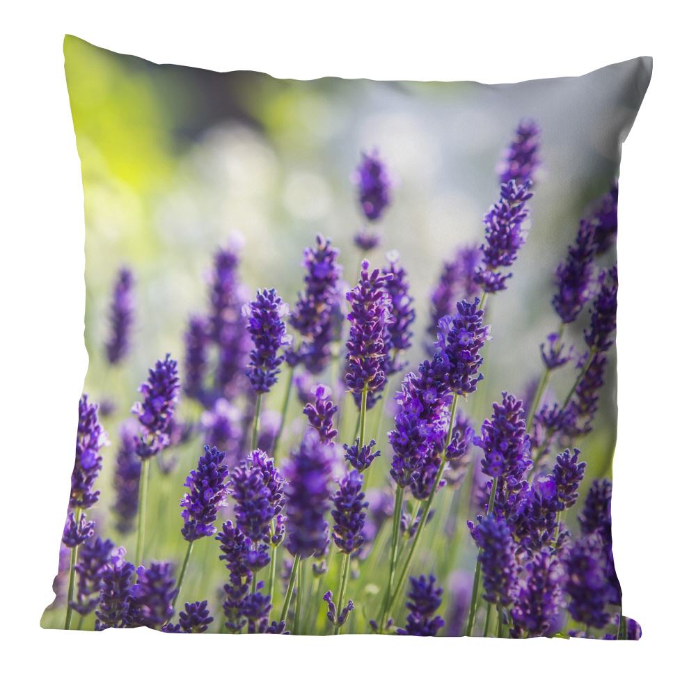 Lavendel im Morgenlicht  | Kissen, inkl. Reißverschluss und Inlett, waschbar bei 30°C