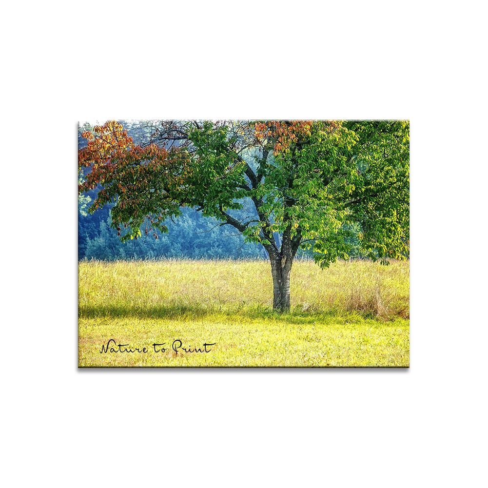Kirschrot im September | Landschaftbild auf Leinwand, Kunstdruck, FineArt, Acrylglas, Alu-Dibond, Fototapete