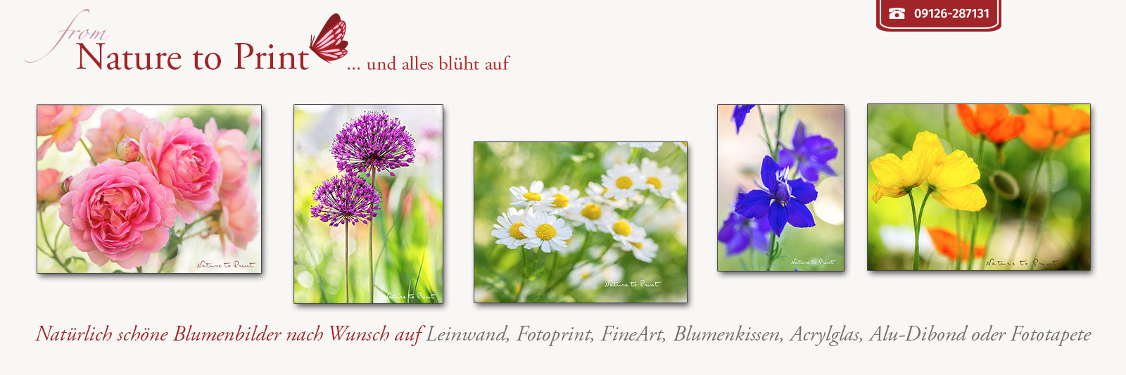 Natürlich schöne Blumenbilder nach Wunsch auf Leinwand, Fotoprint, FineArt, Acrylglas, Alu, Fototapete oder Blumenkissen