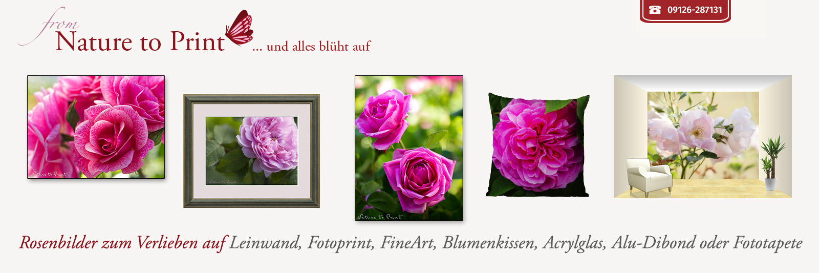 Rosenbilder zum Verlieben auf Leinwand, Fotoprint, FineArt, Acrylglas, Alu, Fototapete oder Blumenkissen