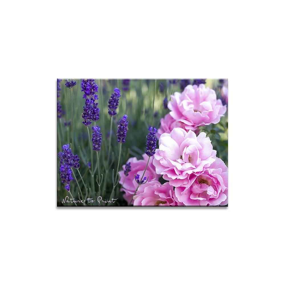 Sommerwind an Lavendel Blumenbild auf Leinwand, Kunstdruck oder FineArt