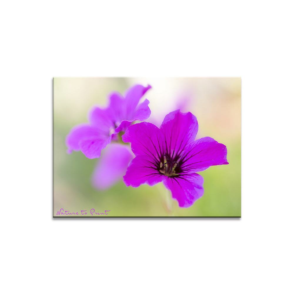 Pink Beauty  Blumenbild auf Leinwand, Kunstdruck oder FineArt