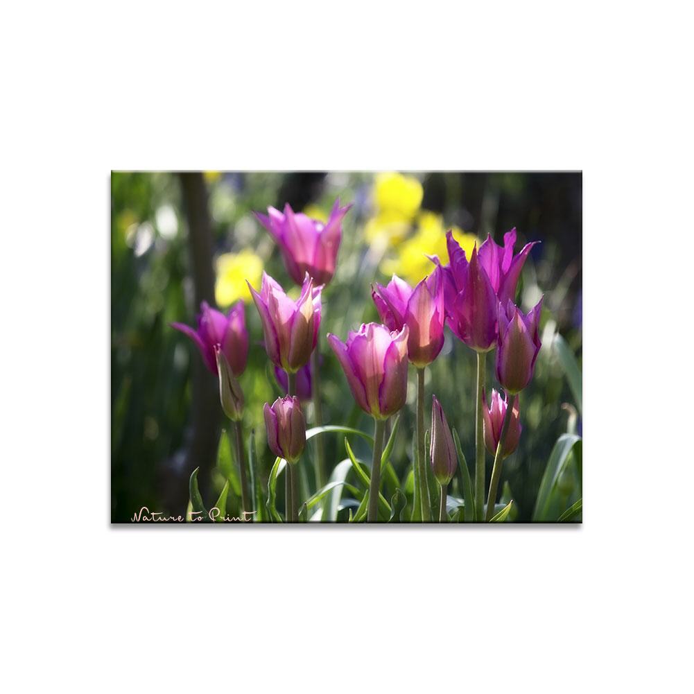 Im Frühlingsgarten Blumenbild auf Leinwand, Kunstdruck oder FineArt