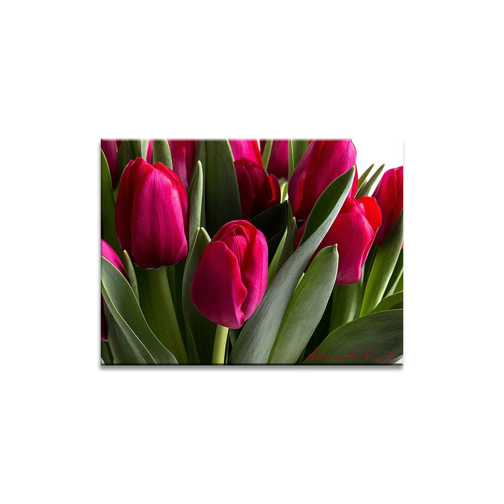 Frühlingskracher  Blumenbild auf Leinwand, Kunstdruck, Acrylglas, Alu, Kissen