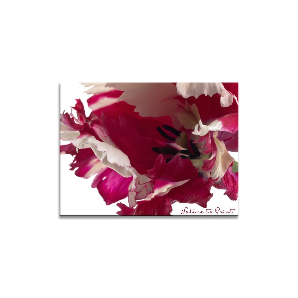 Tiefer Blick  | Blumenbild auf Leinwand, Kunstdruck, FineArt, Acrylglas, Alu, Fototapete, Kissen